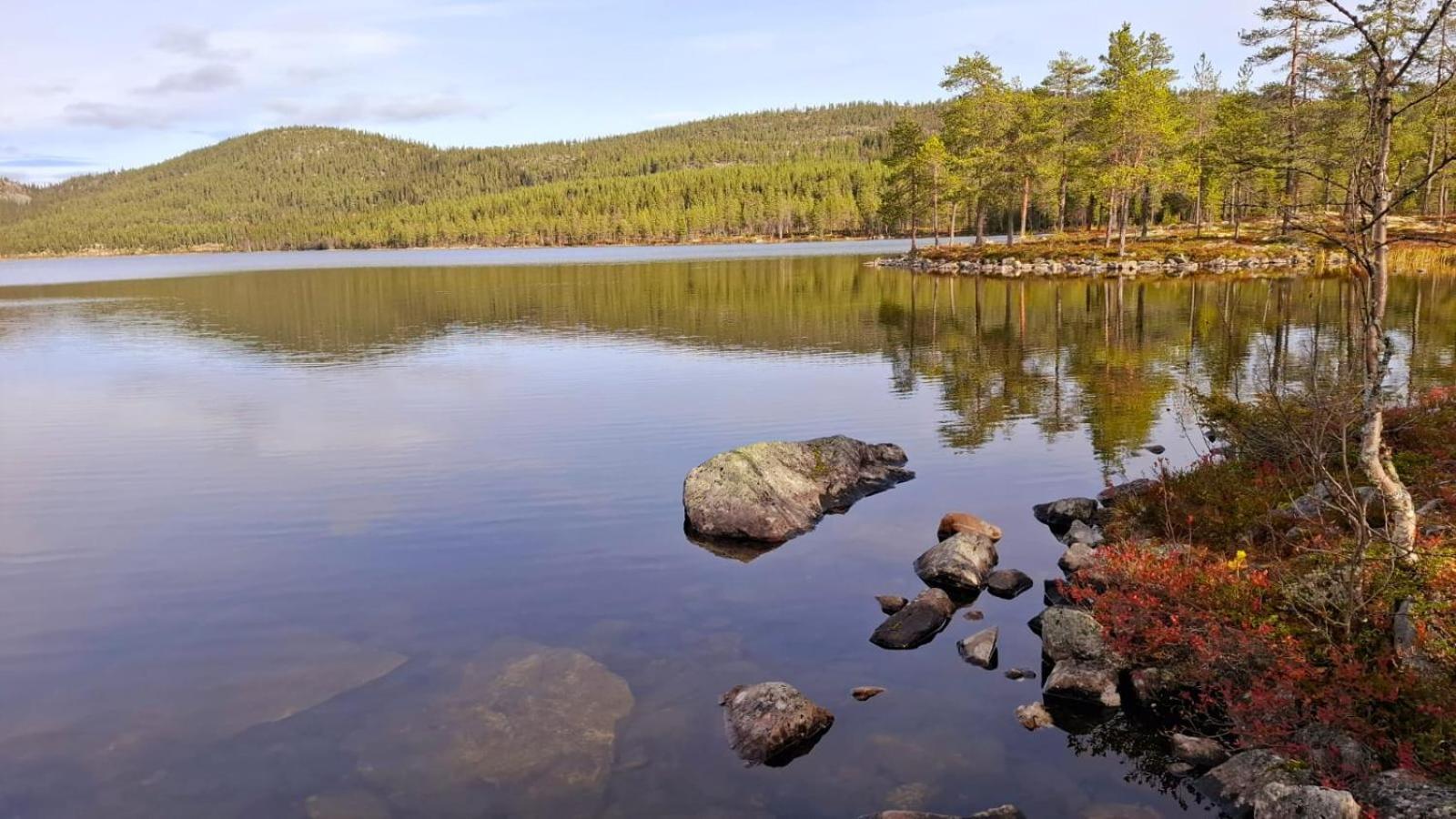 Villa Ka Stor Elvdal Koppang 외부 사진